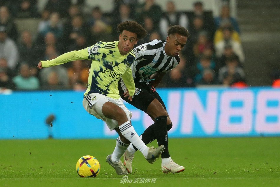 的恢复能力 的恢复能力