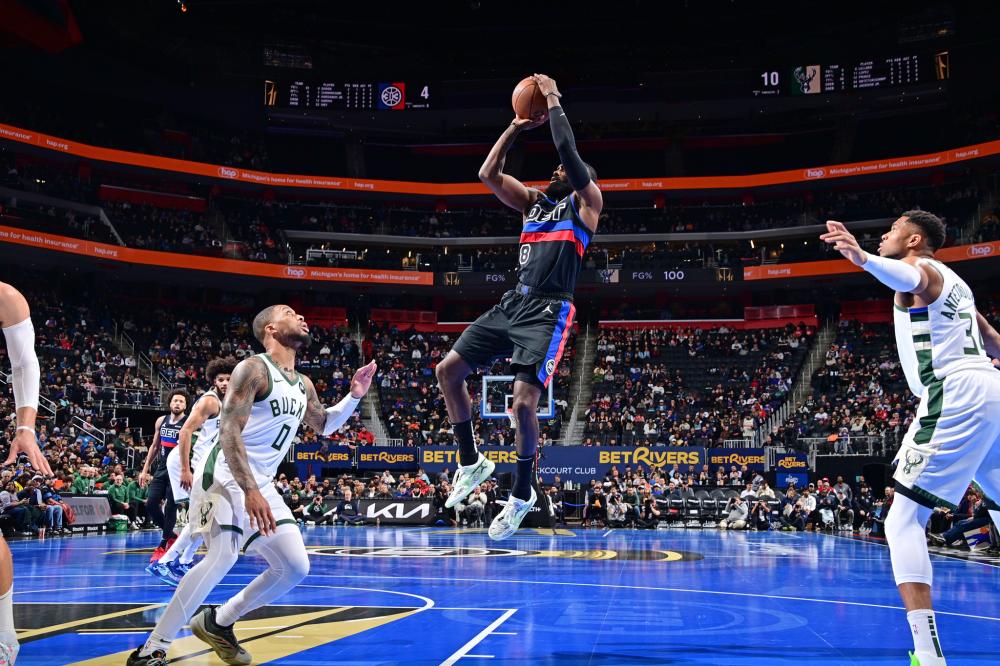 不仅彰显了 不仅彰显了